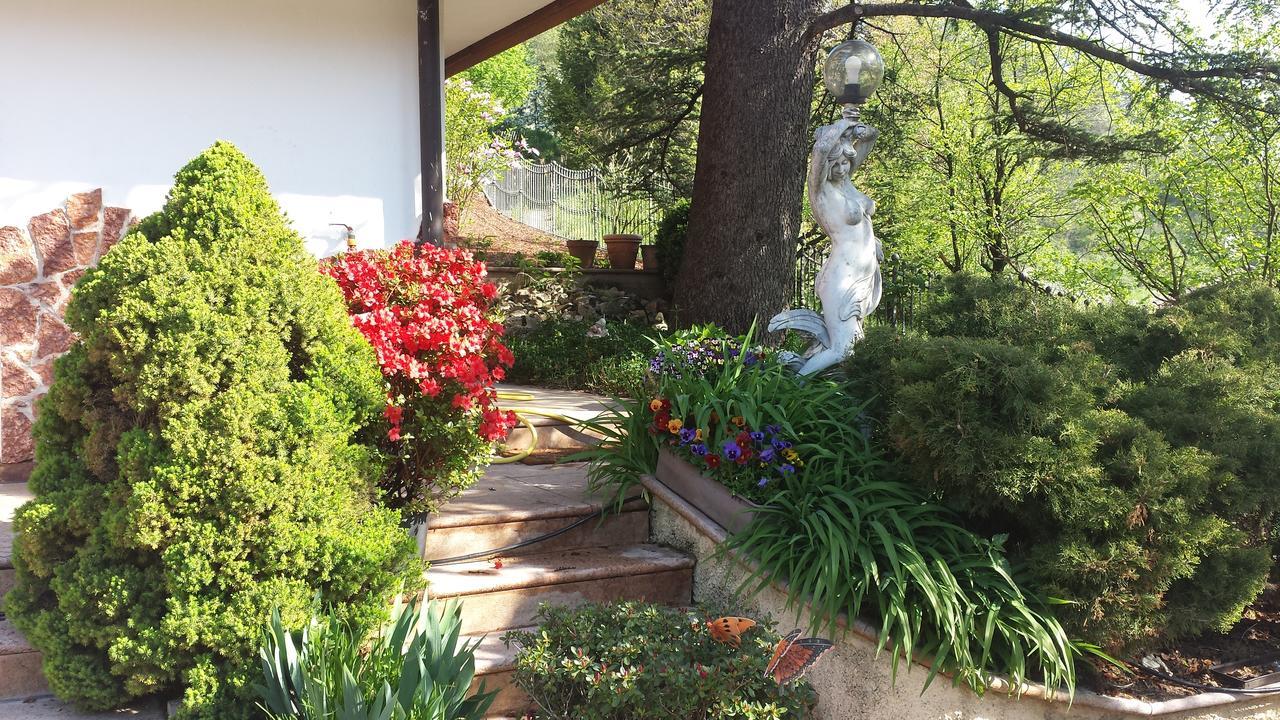 B&B Al Cedro Sporminore エクステリア 写真